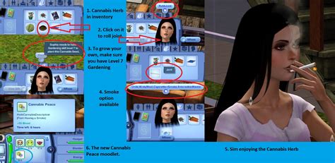 Kinky World Sims 3