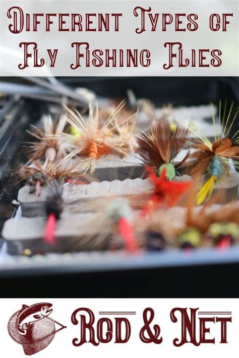 Different Types Of Fly Fishing Flies Fly Fishing Tips Fly Fishing