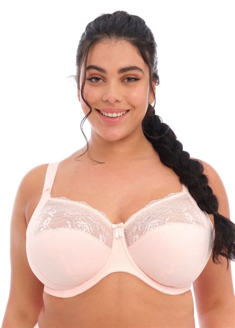 elomi morgan underwired banded bra ballet pink available at the fitting room