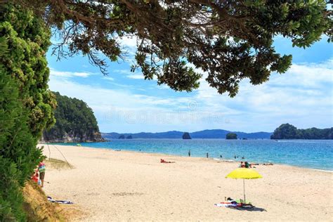 Sunny Hahei Beach On The Coromandel Peninsula New Zealand Stock Image