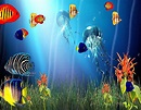 Free 3d marine aquarium screensaver - taiablogs