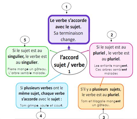 Laccord Sujet Verbe Leçon Et Exercices Ce2