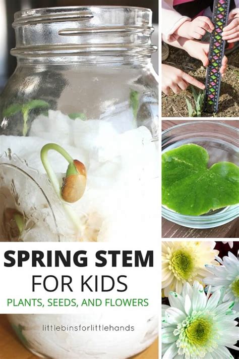 Spring STEM Activities Science Experiments (Plants, Weather, and More)!
