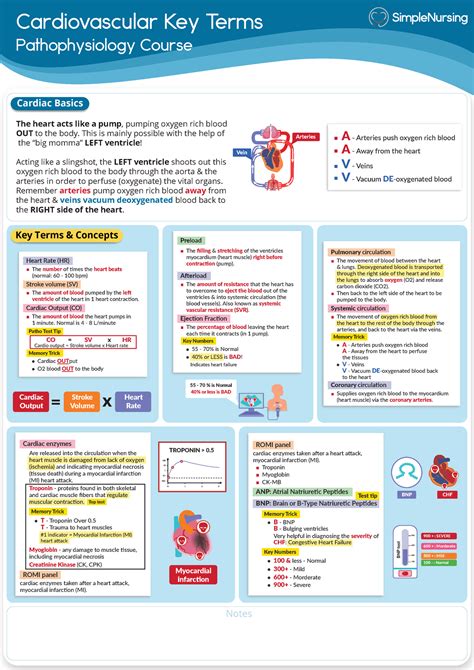 Cardiovascular Key Terms Simple Nursing Nrn12 Rcc Studocu