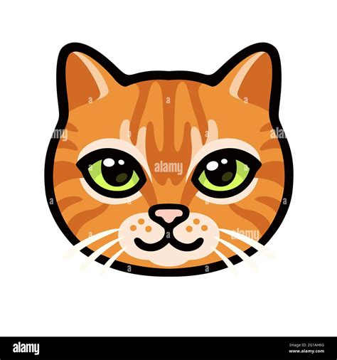 Cat Cartoon Face High Resolution Stock Photography And Images Alamy