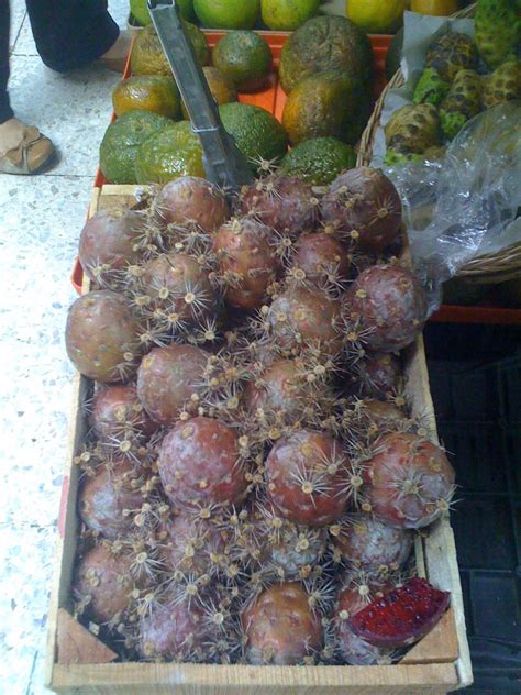A pitaya (/pɪˈtaɪ.ə/) or pitahaya (/ˌpɪtəˈhaɪ.ə/) is the fruit of several different cactus species indigenous to the americas. Pitaya (organ-pipe cactus fruit) agua fresca
