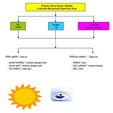 Apakah yang patut kamu lakukan? Seindah Sains: Keperluan Asas Tumbuhan