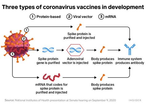 These are the differences between each vaccine candidate, with information compiled from the companies. How leading US coronavirus vaccines compare: advantages ...