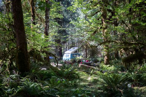 Hoh Campground Olympic National Park Wa 5 Hipcamper Reviews And 34