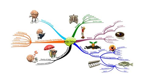 Personal And Lifestyle Mind Map® Examples