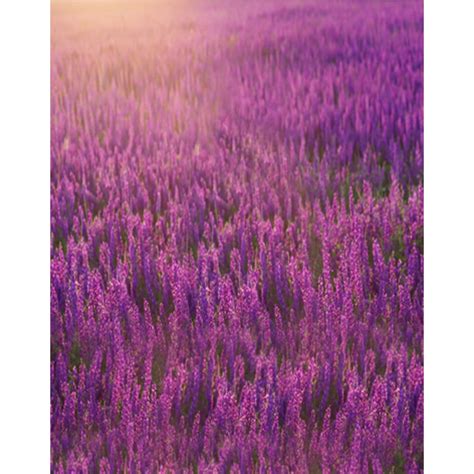 Beautiful Lavender Backdrop Photography Printed Purple
