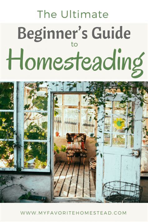 Small Homesteading The Beginners Guide