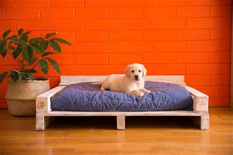 Diy Recycled Pallet Dog Beds Plans Ideas With Pallets Pallet Dog