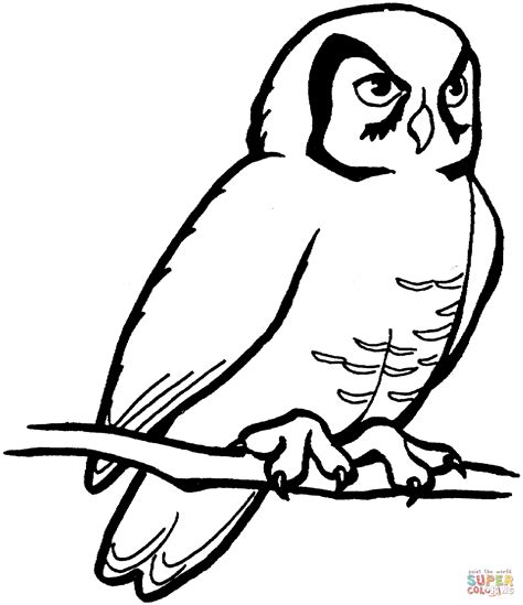 Perched Barn Owl Coloring Page Free Printable Coloring Pages