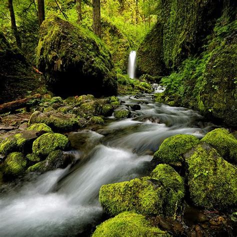 Mossy Grotto Falls Square This Is An Un Named Off Trail W Flickr