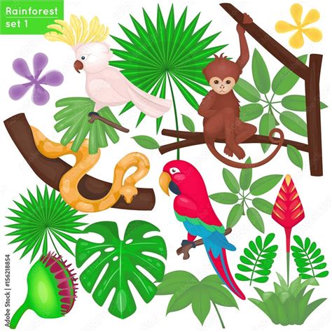 Rainforest And Jungle Life Set Tropical Animals And Plants Vector