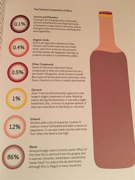 Pin By Franklin Liquors 🍷 On Wine Education Wine Knowledge Wine