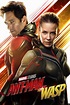 Ant-Man and the Wasp (2018) - Posters — The Movie Database (TMDb)