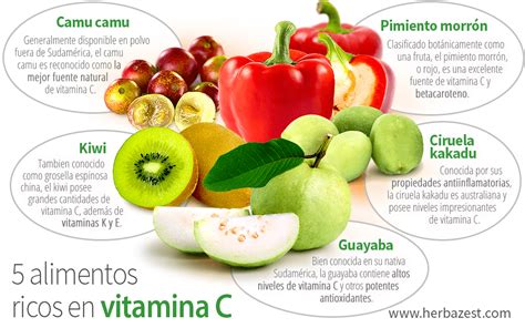 Alimentos Ricos En Vitamina C Herbazest