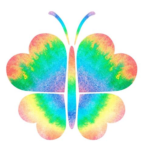Rainbow Butterfly Colorful Wings Stock Image Image Of Bright