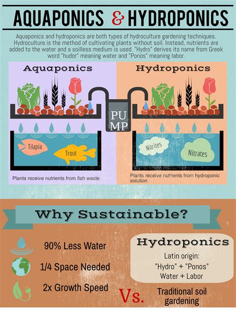 The Difference Between Aquaponics And Hydroponics Green Plur