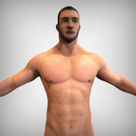 3d Model Male Modeled Anatomy