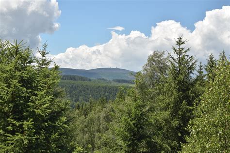 Free Images Landscape Tree Nature Wilderness Cloud Sky Meadow