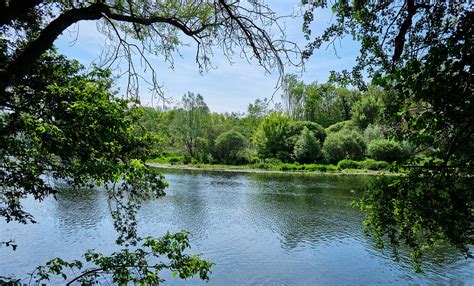 Through The Trees A Travers Les Arbres Nathalie De Marteville Flickr