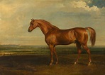 JAMES WARD "Soothsayer" 1821 | Equestrian art, Horse wall art, Animal ...