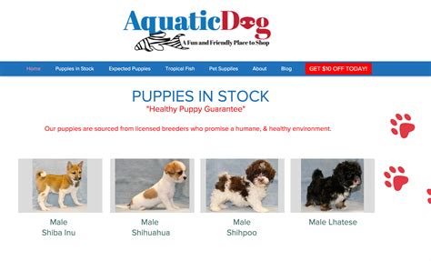 Aquatic Dog | Denver's Premium Pet Store