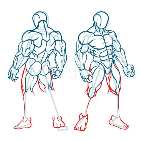 How To Draw Muscles Step By Step Drawing Guide By Kingtutorial How