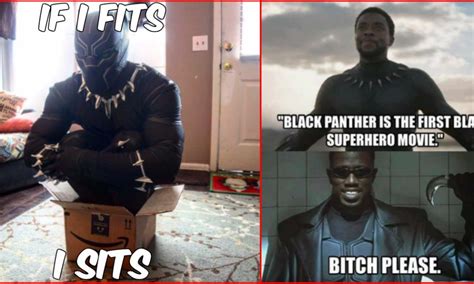 Funniest Black Panther Memes That Will Make You Rofl Cbg