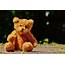 Why Children Cant Bear To Get Rid Of Their Teddy Bears