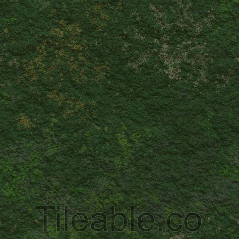 Moss Covered Ground Awsome Texture With All 3d Modelling Maps