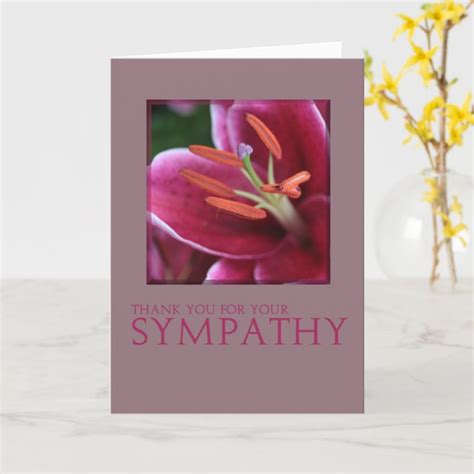 Thank You For Sympathy Pink Lily Card Zazzle Com