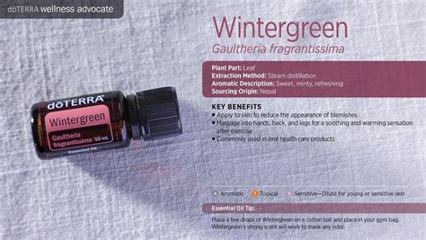 Some of their most popular essential oils include: Wintergreen Doterra Essential Oil - (end 10/29/2018 1:15 PM)