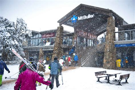 Scenic Mt Buller Snowfields Tour With Return Chairlift Ride In Melbourne