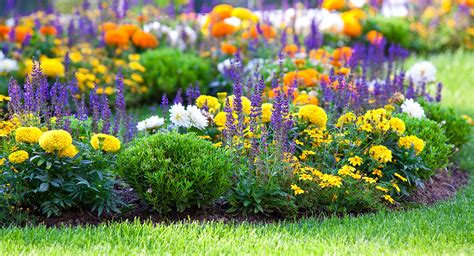 Der sommer im garten bringt eine ungeahnte menge an gemüse mit sich. Bildquelle: © dvoevnore/shutterstock.com.com