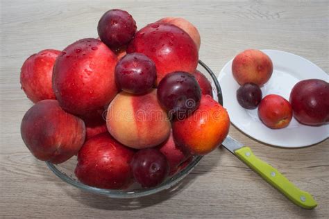 Beautiful Sweet Peaches Nectarine And Plums A Glass Of Red Wine Stock Image Image Of Plum