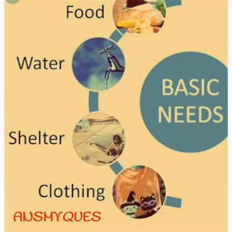 What Are The Basic Necessities Of Life And How It Works Welcome To