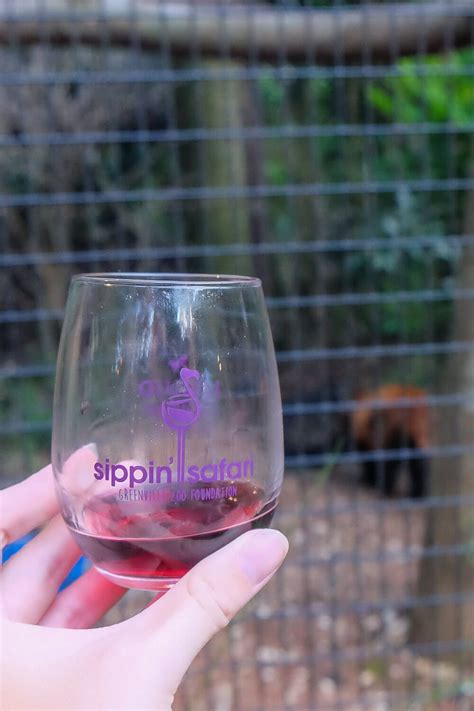 Getting My Wine On At Sippin Safari In Greenville Sc Review