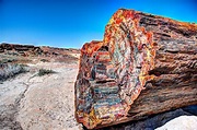 Visit Arizona’s Petrified Forest National Park - Boing Boing