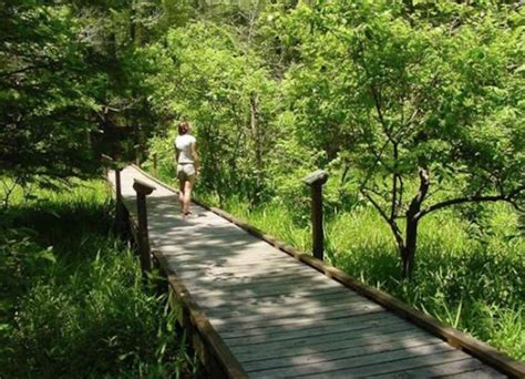 10 Swamp Trails Everyone In Louisiana Needs To Hike Before They Die