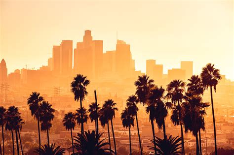 로스 앤젤레스 시내 고층 빌딩에 황금 시간 풍경 로스앤젤레스 시에 대한 스톡 사진 및 기타 이미지 로스앤젤레스 시 로스앤젤레스 카운티 스카이라인 istock
