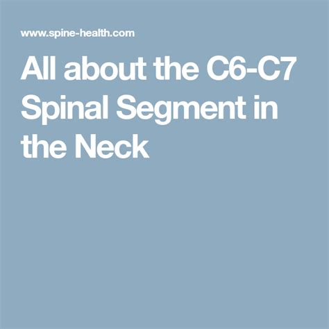 All About The C6 C7 Spinal Motion Segment Segmentation Spinal Spine
