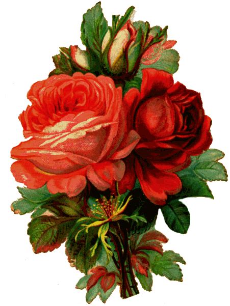 Free Vintage Roses Images Download Free Vintage Roses Images Png