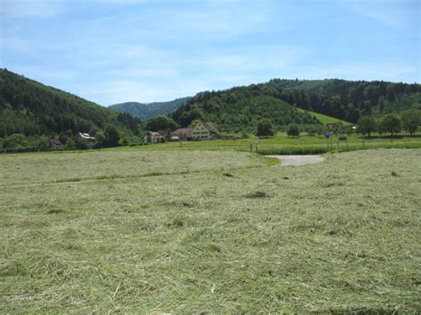 50 km von hotel st. Freiburg-Schwarzwald.de: Staufen und Grunern - Bauernhof ...