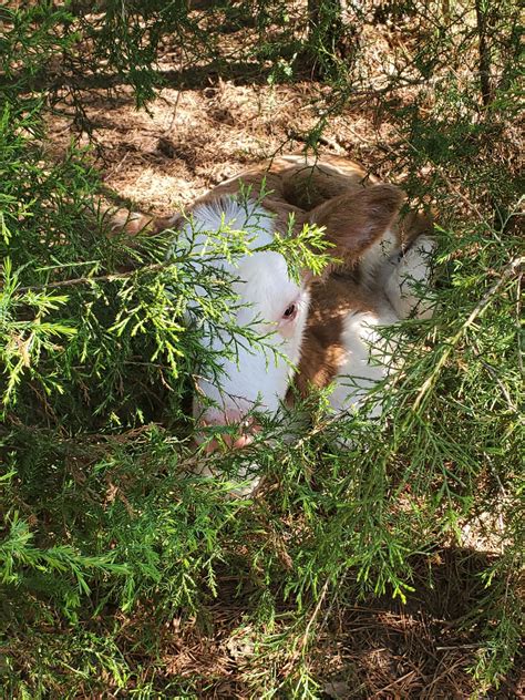 Gallery | Bryant Beef - Tennessee Beef, Jerky, Smoked Dog Treats, Beef