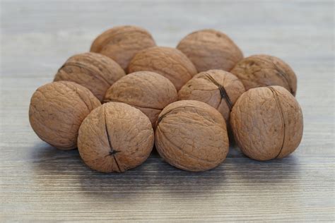 Man könnte mit guten gründen auch sagen, dass dieses thema die birne etwas schwierig macht, denn bei den birnenfrüchten sind erntereife und genussreife in den meisten fällen nicht nur weit voneinander entfernt, sondern auch schwierig. 55 Top Images Wann Werden Walnüsse Geerntet : Katteker Com ...