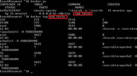 Port authority database port 8080. How to Automatically Build and Configure Custom Docker ...